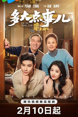 多大点事儿全集