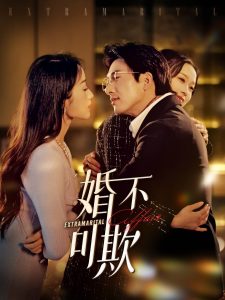 婚不可欺全集