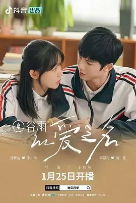 以爱之名短剧全集