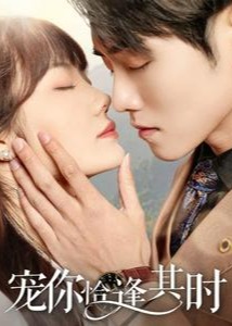 宠你恰逢其时全集