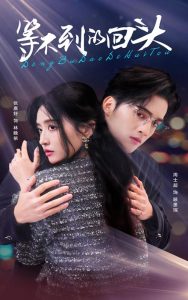 等不到的回头全集