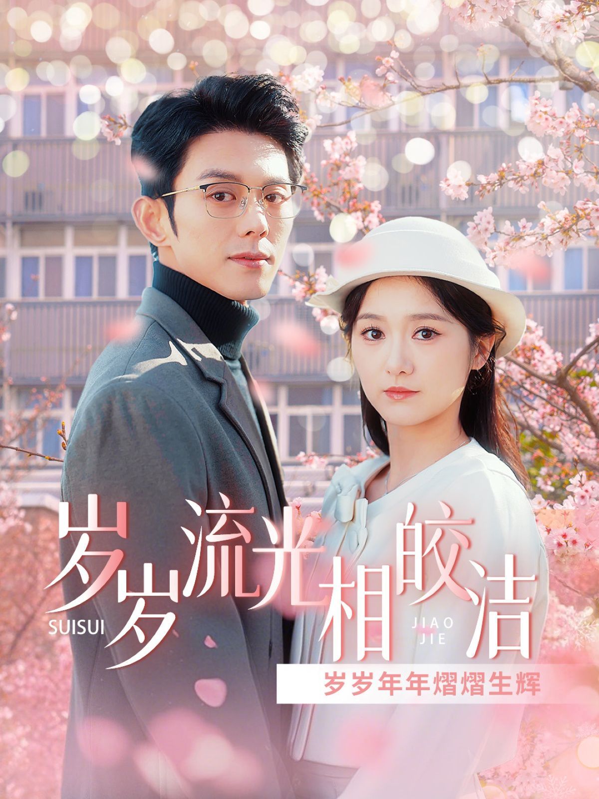 岁岁流光相皎洁全集