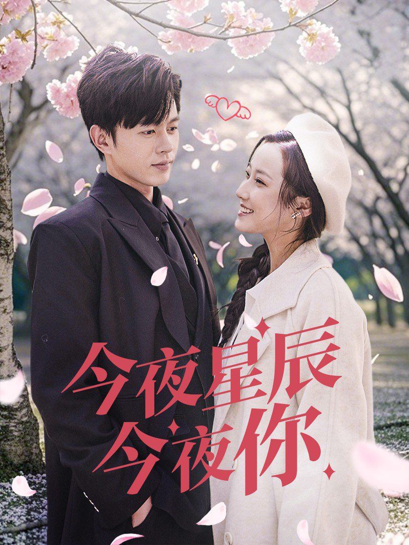 今夜星辰今夜你全集