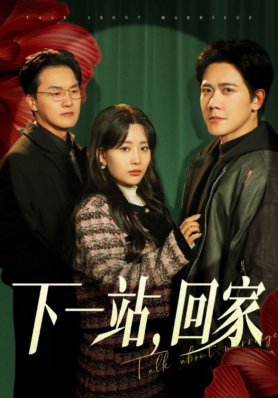 下一站，回家全集