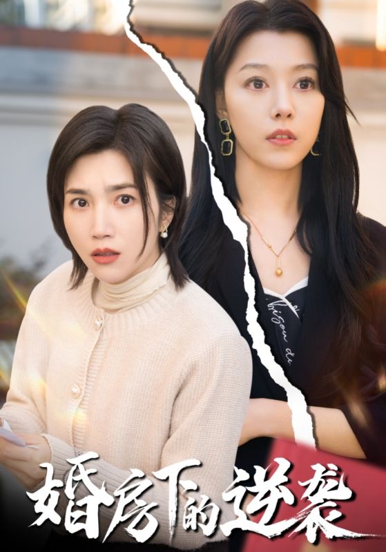 婚房下的逆袭全集