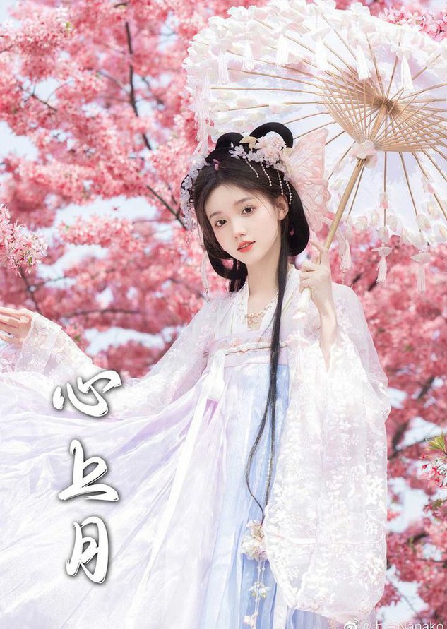 为凰 心上月全集