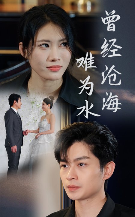 曾经沧海难为水全集