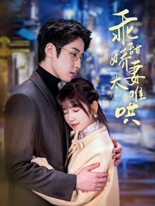 乖甜娇妻太难哄全集