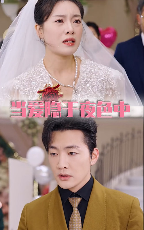 当爱隐于夜色中全集