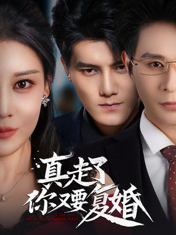 真走了你又要复婚全集