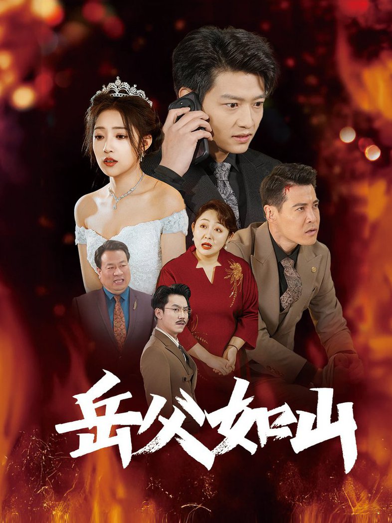 岳父如山 岳父的礼物全集