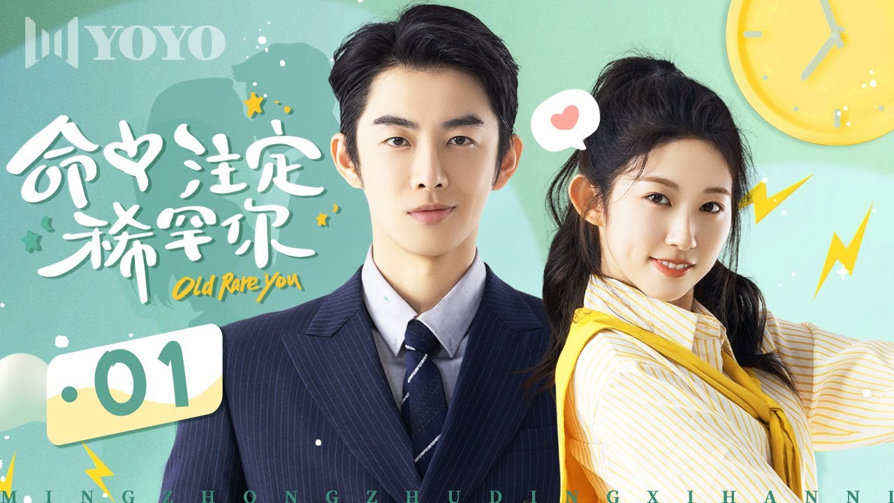 命中注定稀罕你全集