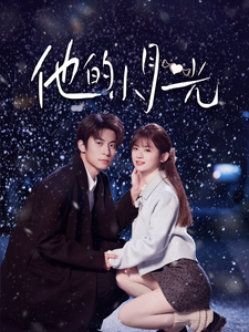 他的小月光全集