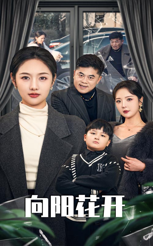 溺爱的代价 向阳花开全集