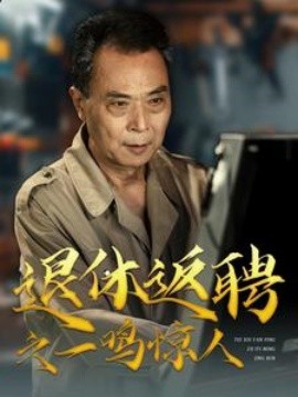 退休返聘之一鸣惊人短剧全集