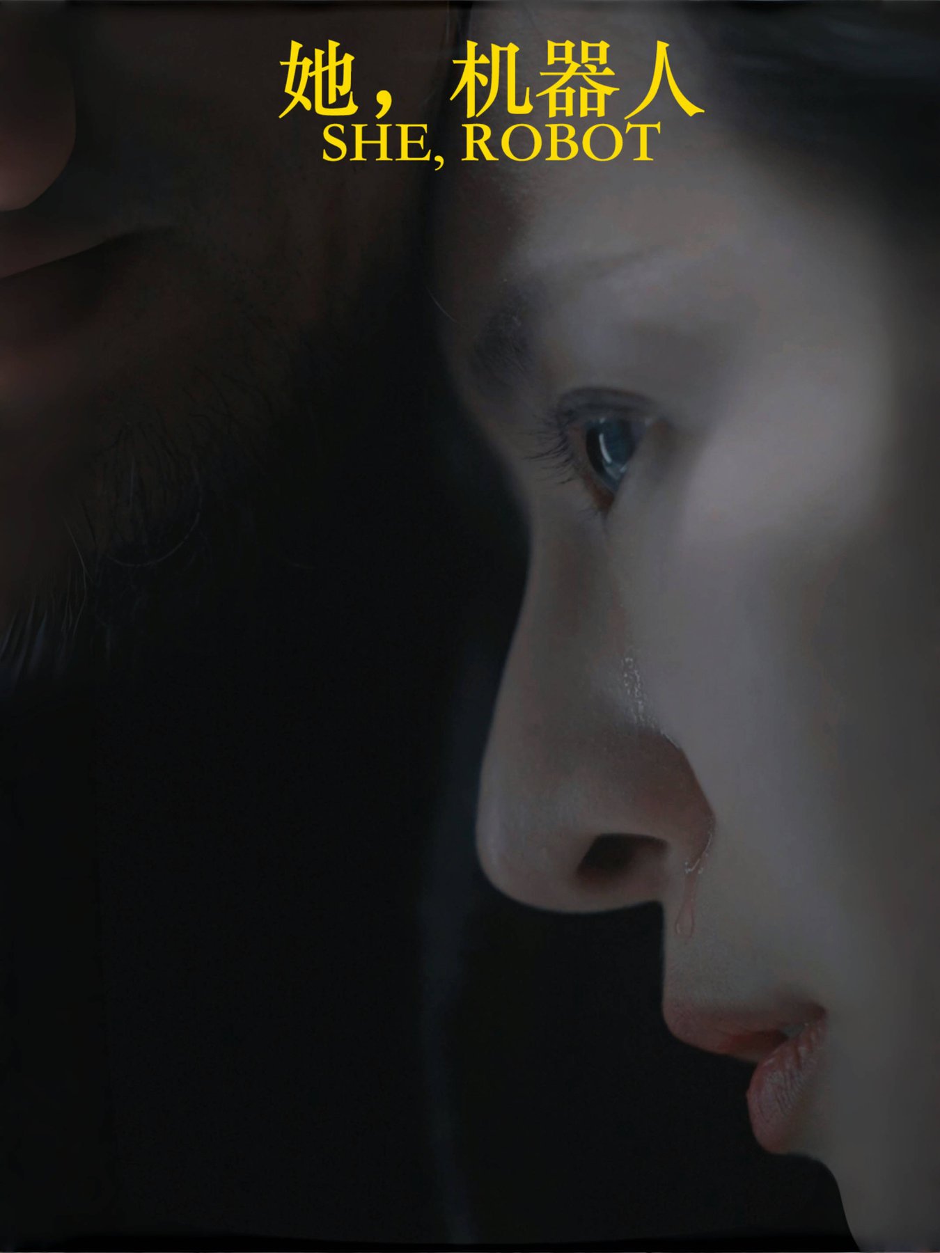 她，机器人全集