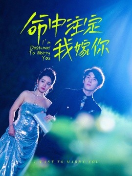 命中注定我嫁你全集