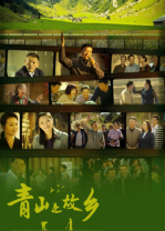 青山是故乡全集