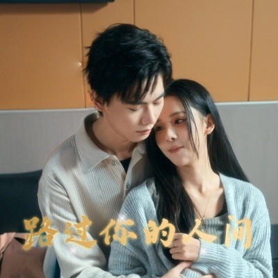 路过你的人间全集