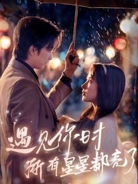 遇见你时所有星星都亮了全集