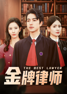金牌律师全集