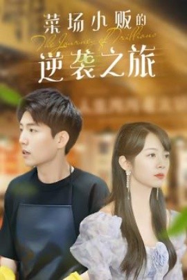 物价贬值：莱场小贩钞级逆袭 菜场小贩的逆袭之旅全集