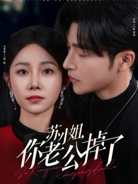 苏小姐你老公掉了全集