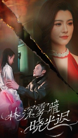 林深雾暗晓光迟全集