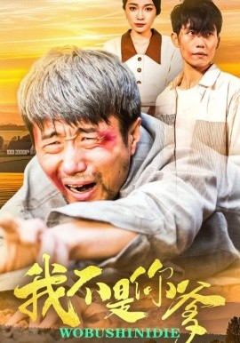 我不是你爹全集