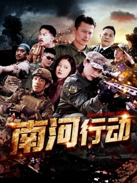 南河行动全集