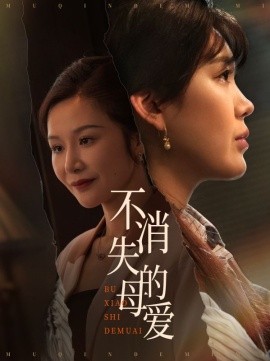 不消失的母爱全集