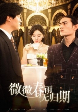 微微春雨无归期全集