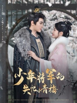 少年将军的失忆小青梅全集