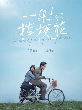 一朵桔梗花全集