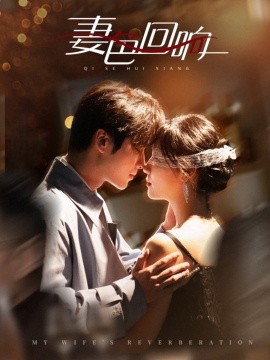 妻色回响全集