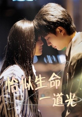 恰似生命一道光全集
