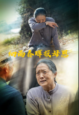 细雨春晖报母恩全集