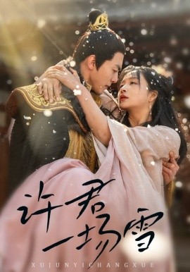 许君一场雪全集