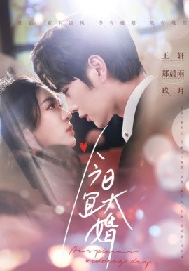 今日宜大婚全集