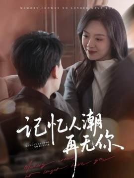 记忆人潮再无你 转身已是暮色烬全集