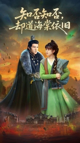 知否知否却道海棠依旧全集