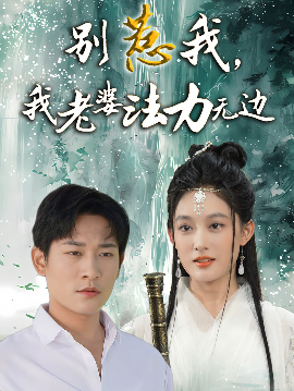别惹我，我老婆法力无边全集