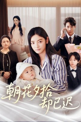 朝花夕拾却已迟全集