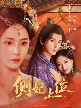 侧妃上位全集