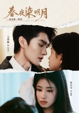 春夜染明月全集