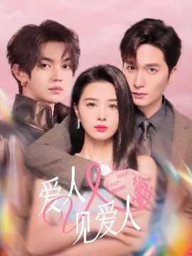 爱人又见爱人全集