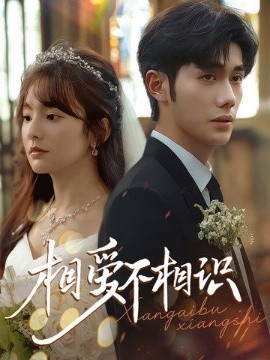 相爱不相识全集