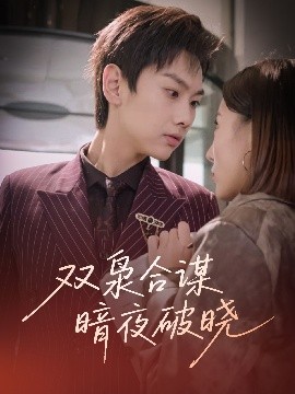 双枭合谋暗夜破晓全集