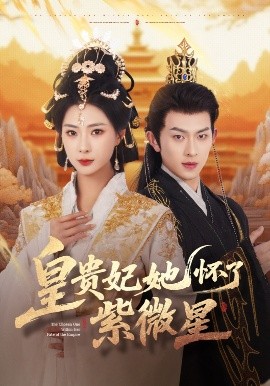 皇贵妃她怀了紫薇星全集