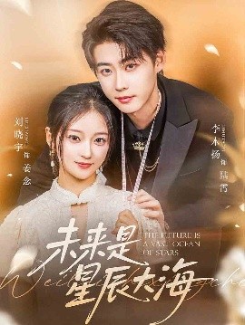未来是星辰大海全集